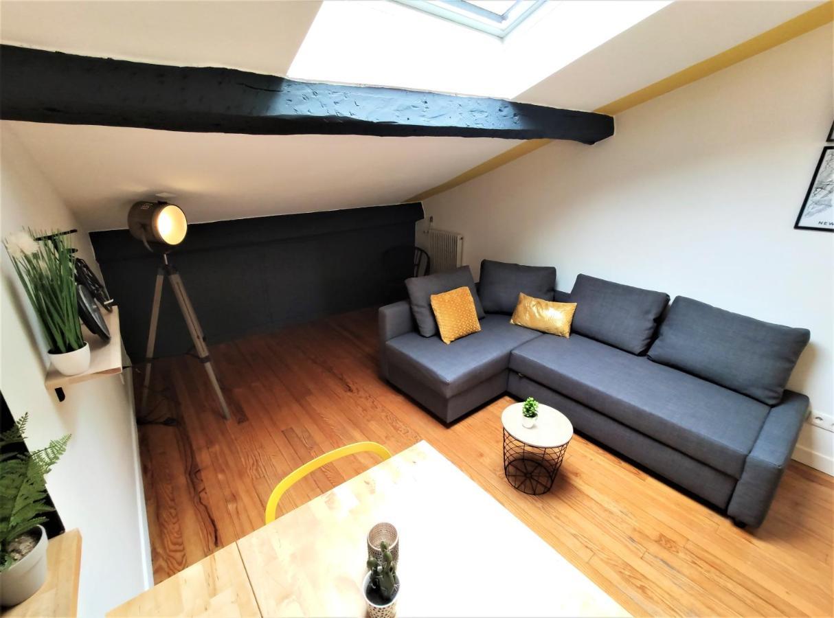 Ferienwohnung La Terrasse De Jeanne - Vue Magnifique - Netflix Toulouse Exterior foto