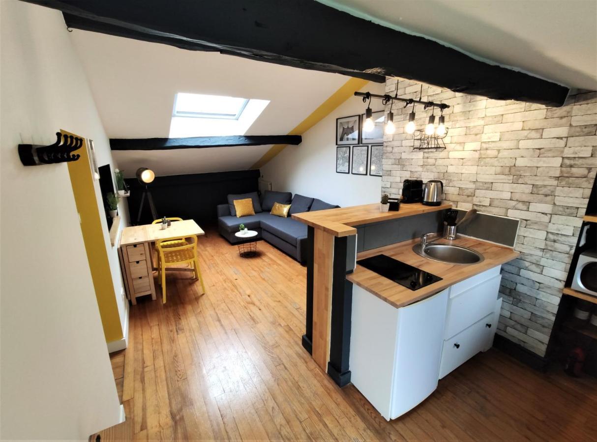 Ferienwohnung La Terrasse De Jeanne - Vue Magnifique - Netflix Toulouse Exterior foto